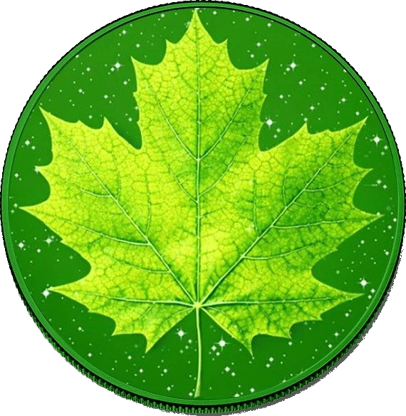Spring Diamond Dust Maple Leaf β front